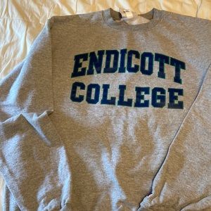 Endicott College gray size large crew neck sweatshirt